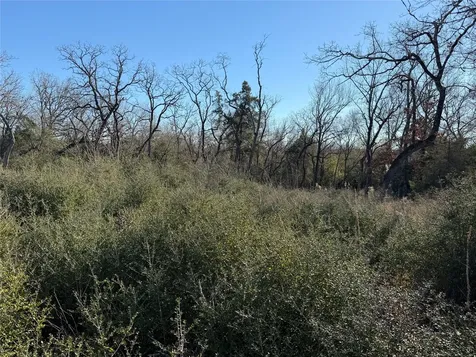 Lot 29 Cr 389 Jewett TX 75846