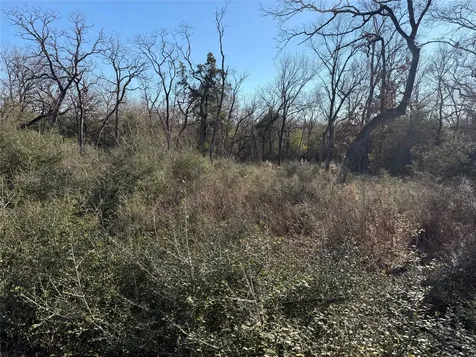 Lot 29 Cr 389 Jewett TX 75846