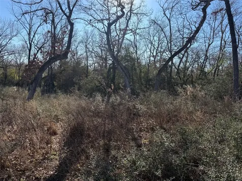 Lot 29 Cr 389 Jewett TX 75846