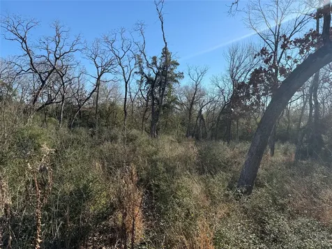 Lot 29 Cr 389 Jewett TX 75846
