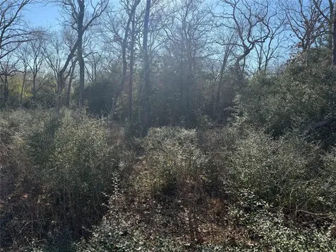 Lot 29 Cr 389 Jewett TX 75846