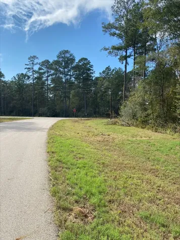 14-37-40 Sandpiper Drive New Waverly TX 77358