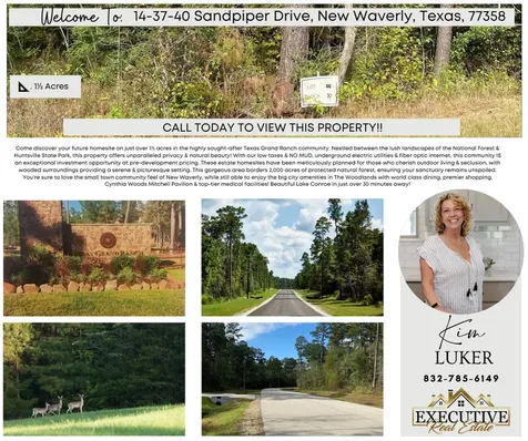 14-37-40 Sandpiper Drive New Waverly TX 77358