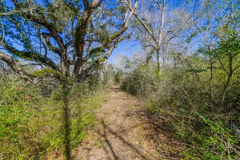 314 County Road 904 Alvin TX 77511