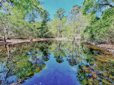 000 Cr 3495 Lovelady TX 75851