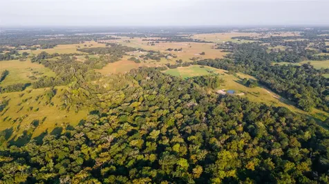 113+/- Ac Fellowship Ln Lane E Madisonville TX 77864
