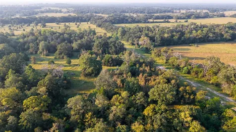 113+/- Ac Fellowship Ln Lane E Madisonville TX 77864