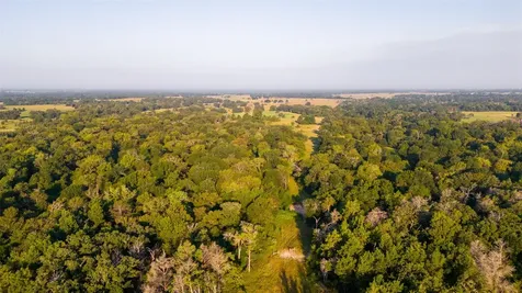 113+/- Ac Fellowship Ln Lane E Madisonville TX 77864