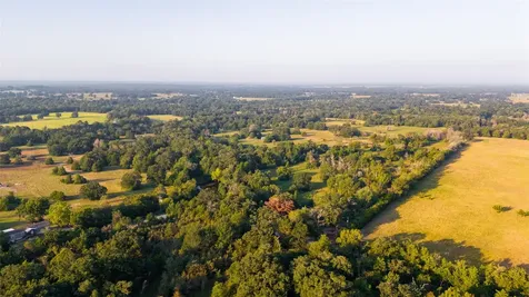 113+/- Ac Fellowship Ln Lane E Madisonville TX 77864