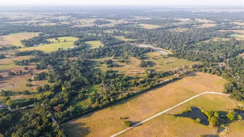113+/- Ac Fellowship Ln Lane E Madisonville TX 77864