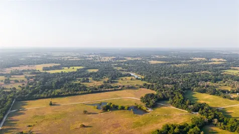 113+/- Ac Fellowship Ln Lane E Madisonville TX 77864