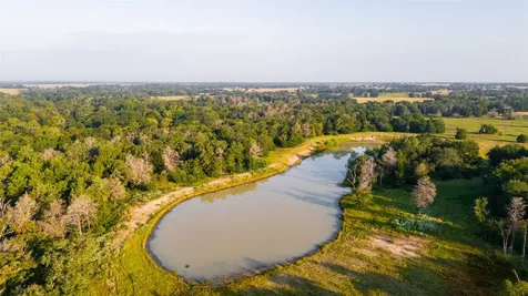 113+/- Ac Fellowship Ln Lane E Madisonville TX 77864