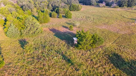 113+/- Ac Fellowship Ln Lane E Madisonville TX 77864