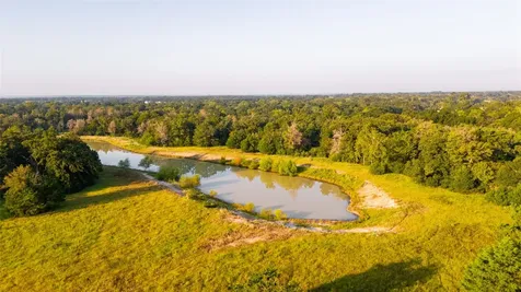 113+/- Ac Fellowship Ln Lane E Madisonville TX 77864