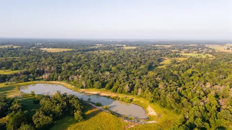 113+/- Ac Fellowship Ln Lane E Madisonville TX 77864