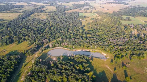 113+/- Ac Fellowship Ln Lane E Madisonville TX 77864