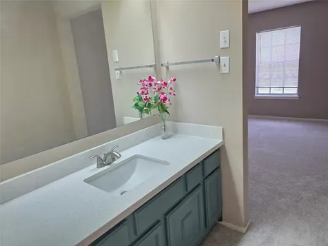 11350 Raven View Drive Houston TX 77067