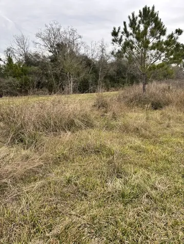 16195 Marsh Road Hamshire TX 77622