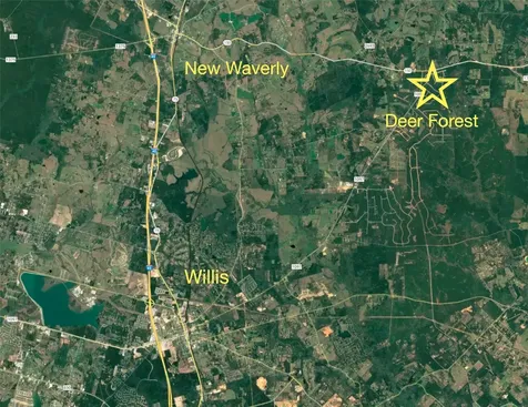 126 Iron Horse Road Willis TX 77378