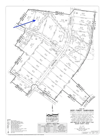 126 Iron Horse Road Willis TX 77378