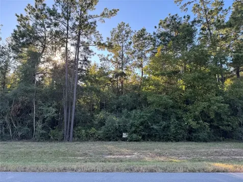 126 Iron Horse Road Willis TX 77378