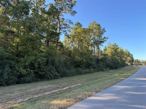 126 Iron Horse Road Willis TX 77378