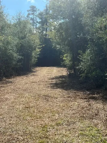 4304 Farm Market 352 Corrigan TX 75939