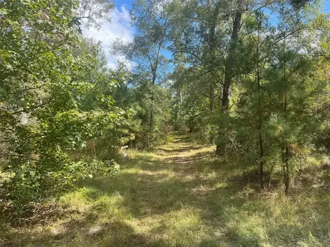 4304 Farm Market 352 Corrigan TX 75939