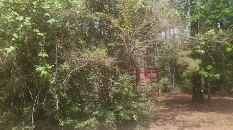Lot 8 Soapberry Lane Plantersville TX 77363