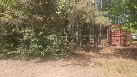 Lot 8 Soapberry Lane Plantersville TX 77363