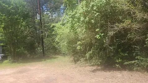 Lot 8 Soapberry Lane Plantersville TX 77363
