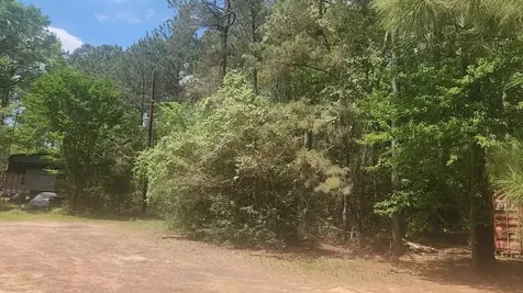 Lot 8 Soapberry Lane Plantersville TX 77363