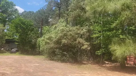 Lot 8 Soapberry Lane Plantersville TX 77363