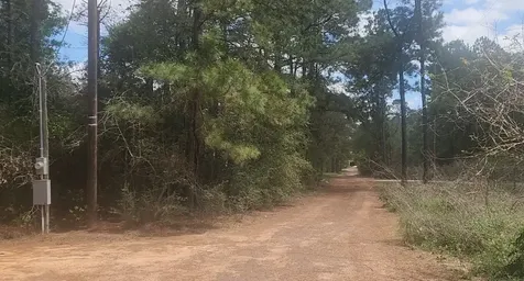 Lot 8 Soapberry Lane Plantersville TX 77363