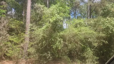 Lot 8 Soapberry Lane Plantersville TX 77363