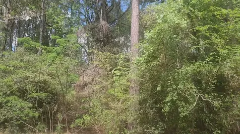 Lot 8 Soapberry Lane Plantersville TX 77363