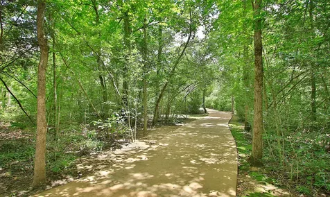 301 Snow Goose Court Willis TX 77318