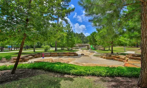 301 Snow Goose Court Willis TX 77318
