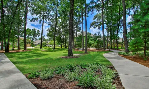 301 Snow Goose Court Willis TX 77318