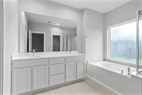 29215 Live Tree Court Spring TX 77386