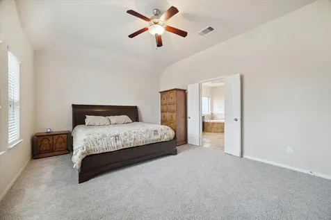 3707 Daintree Park Drive Katy TX 77494