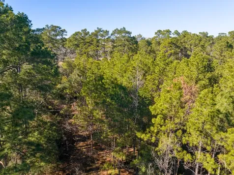 1 Fm 1725 Willis TX 77378