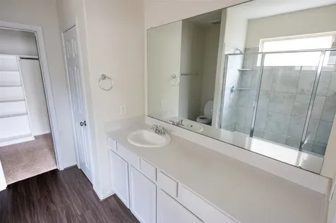 216 N Lynx Trail Montgomery TX 77316