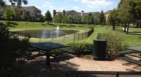 3102 W Bay Area Boulevard 1804 Friendswood TX 77546