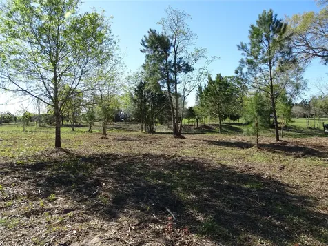 1350 Peters San Felipe Road Sealy TX 77474