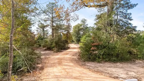 17300 Fm 943 Livingston TX 77351