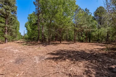 6077 000 Cr 4200 Pennington TX 75856