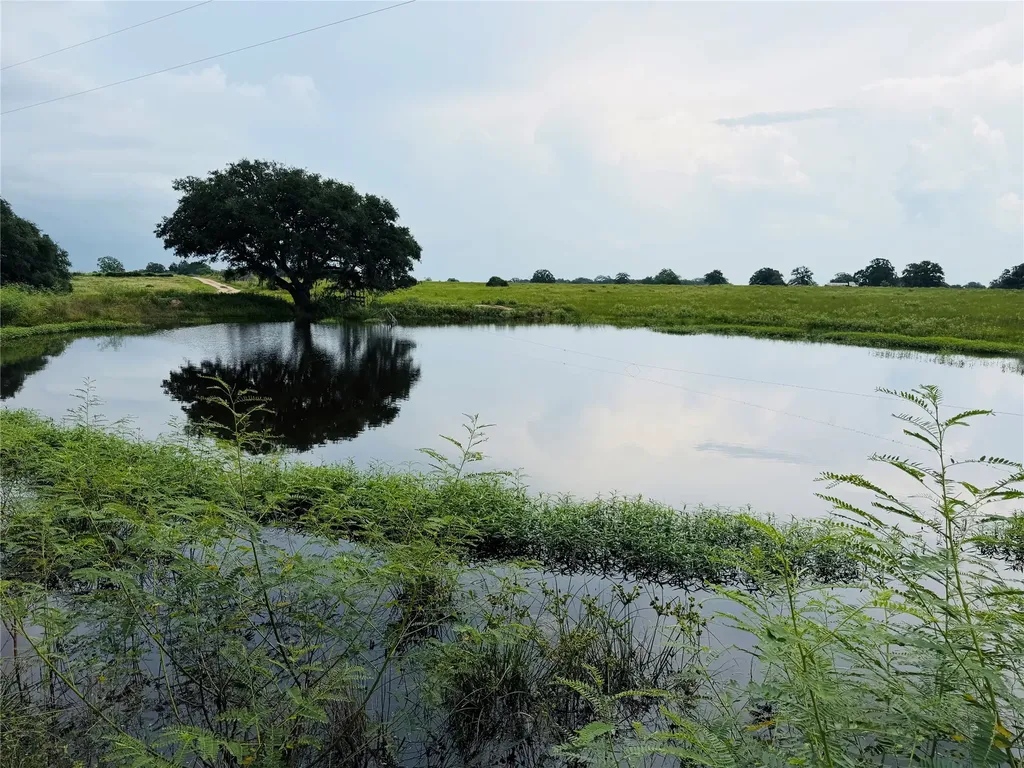 10309 Cr 1 Hallettsville TX 77964