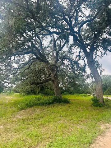 10309 Cr 1 Hallettsville TX 77964