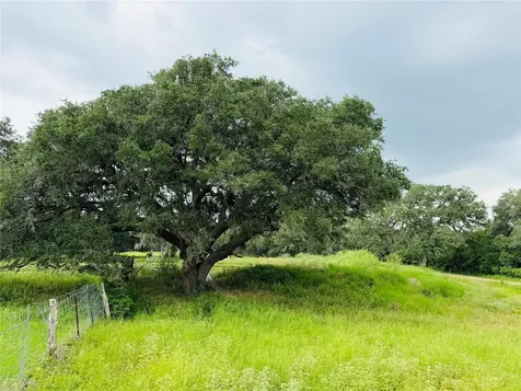 10309 Cr 1 Hallettsville TX 77964